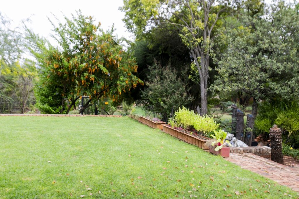 WhatsApp Image 2024-05-02 at 20.44.04_16c86742